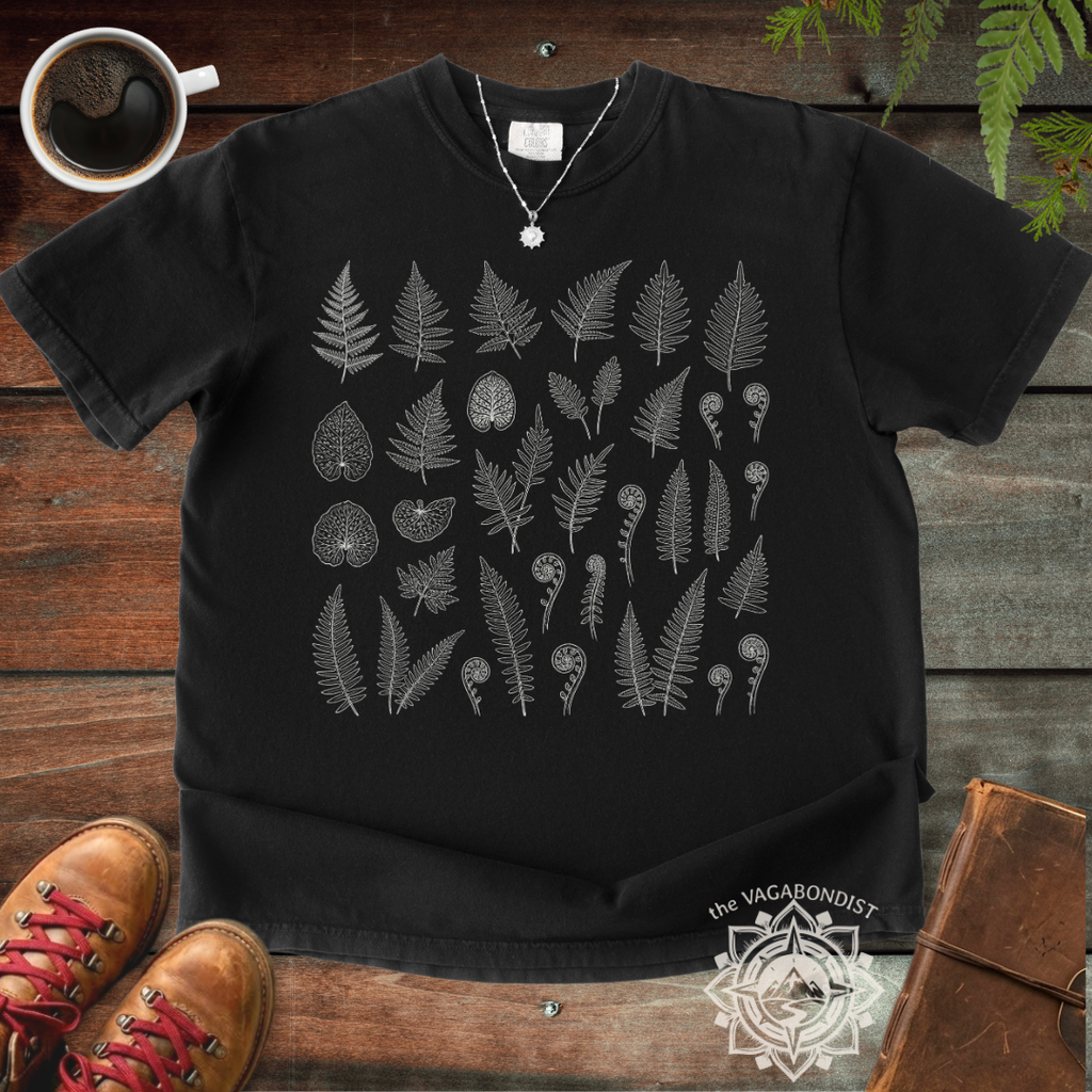 Fern Illustrations T-Shirt