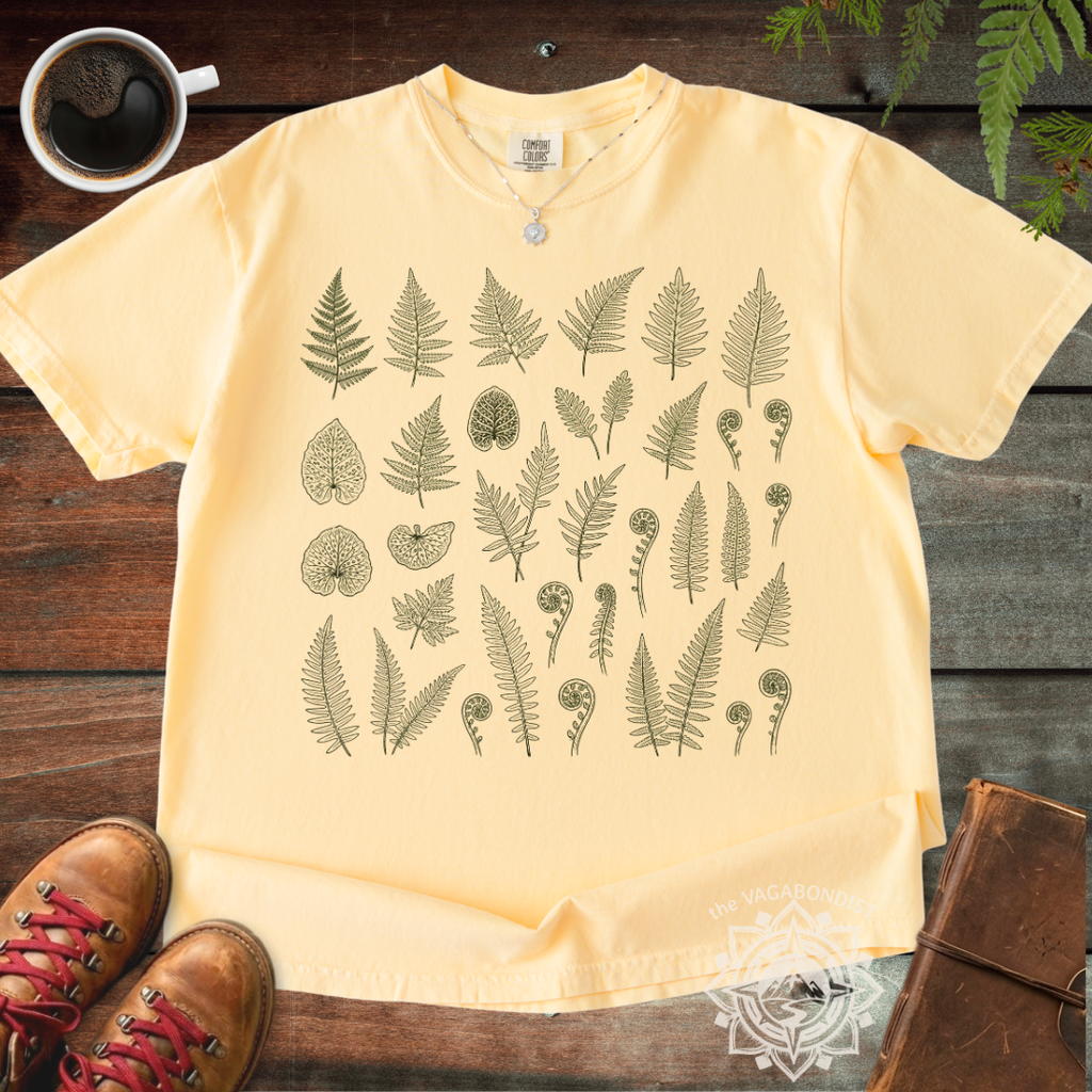 Fern Illustrations T-Shirt