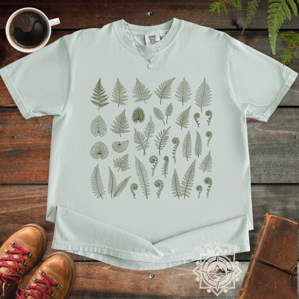Fern Illustrations T-Shirt