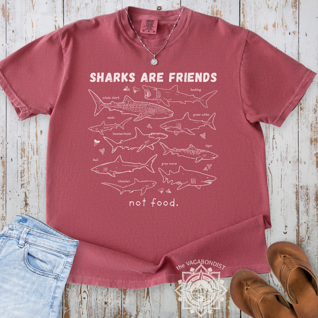 Sharks are Friends, not Food T-Shirt