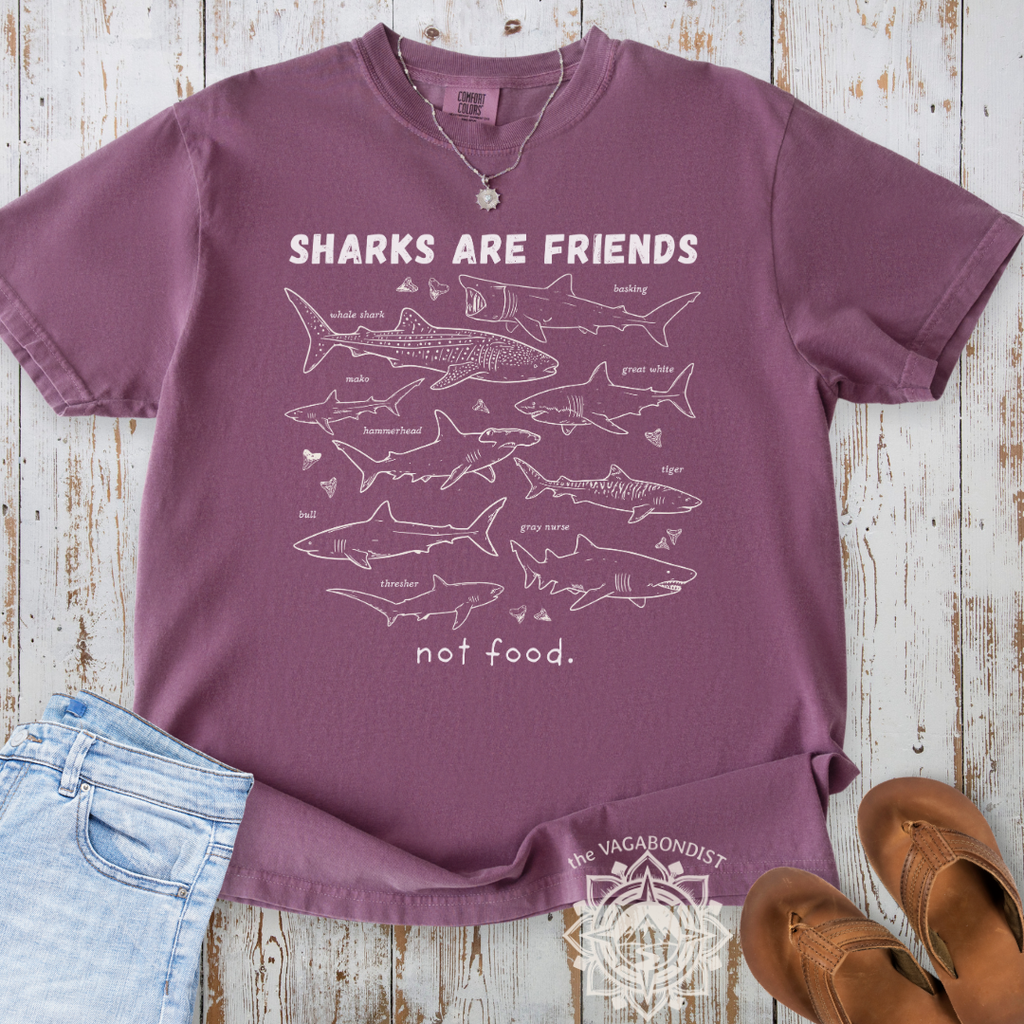 Sharks are Friends, not Food T-Shirt